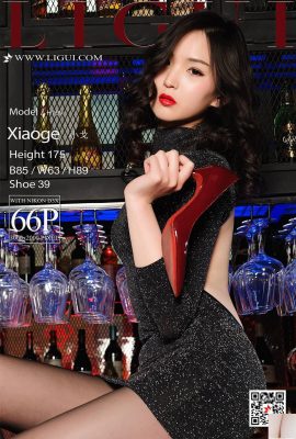[Ligui Belleza en Internet] 20180421 Las hermosas piernas de la modelo Xiao Ge con medias negras en el bar[67P]