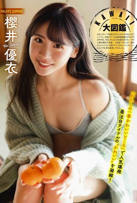 (Sakurai Yui) Es genial ver los pechos perfectos, blancos y regordetes de la belleza (9P)