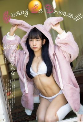 (Nishino Aya) Chica Sakura con súper pechos… la foto es tan linda (7P)