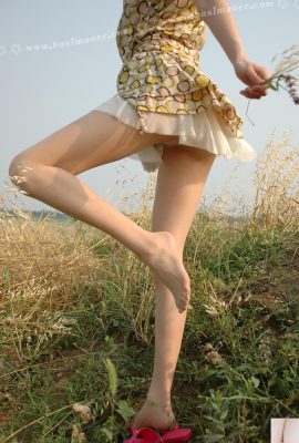 (Gato persa) Armario VIP con hermosas piernas y medias: falda de flores amarillas y sandalias rojas (104P)