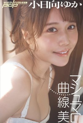 Yuka Kohinata (Fotolibro) Colección semanal de fotografías digitales Marshmallow Curvy (45P)