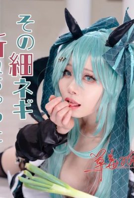 Hatsune Miku: ¿Se rompió esa fina cebolla verde?