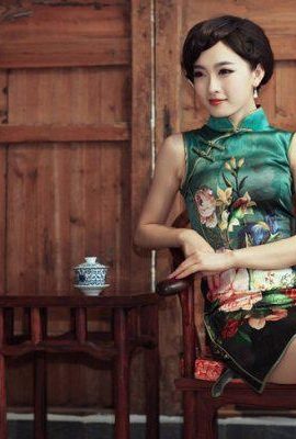 Pintura al óleo de la encantadora belleza del cheongsam (8P)