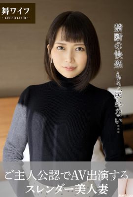 Kaori Kashii – Hermosa y esbelta esposa que aparece en AV con la aprobación del personaje principal (58P)