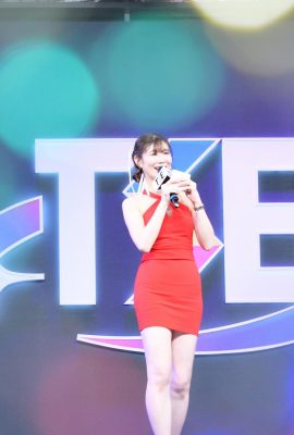 Representante especial de la temporada de servicio de TSE 2024 Entrada al escenario principal de TSE (45P)