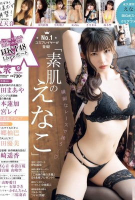 (Yuan な 2) La buena figura no puede cubrir los beneficios de la barrera de la carretera media (14p)