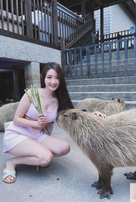 Nacido para ser hermoso (marienn_yang «, el sitio web llama a Fairy Descendiendo a la Tierra (25p)