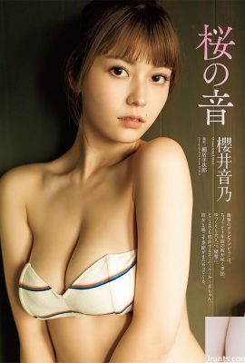 Feliz año nuevo ~ Por favor, vea la elegante figura de Sakurai Girl (68p)