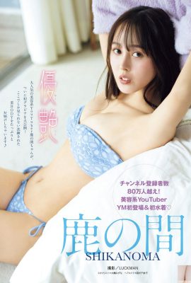 (Día de los ciervos) La curva S de gracia desafía la línea racional de todos (16p)