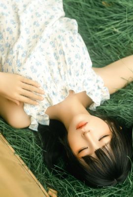 Anime – Caja de madera estúpida (18p)