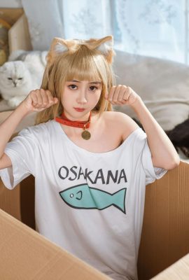 Goldfish Kinngyo «gato» (57p)