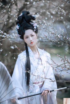 Jiangnan Plum Blossoms y hongos están en invierno (33p)