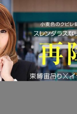 «Gen Miina» Hermoso pecho pequeño Caballo (34p)