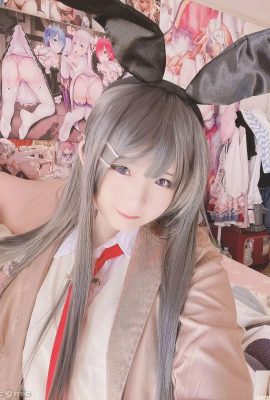 (Estúpido) Mai Sakurajima Mai (27p)