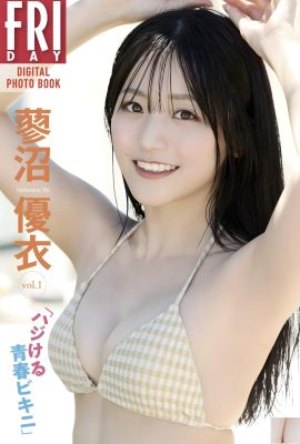 (Tainu Nichi) Angel Face + Devil Figura es extremadamente perfecta (22p)