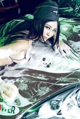 Características del modelo Interpretación del lavado de autos MM (12p)