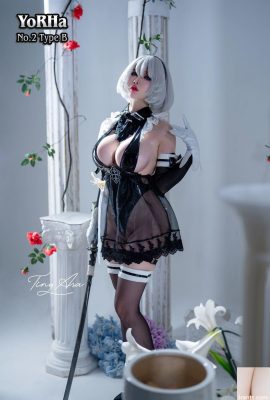(Colección de Internet) Tiny Asa Yorha-2b (85p)