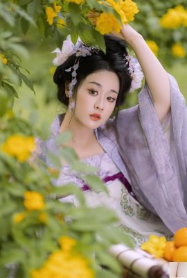 Afina de la flor de otoño a finales de los albaricoques (29p)