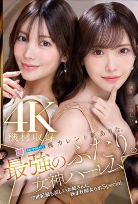 Kaede Karen y Shin Arina. Los dos más fuertes. Diosa Harén, la dama más bella del siglo