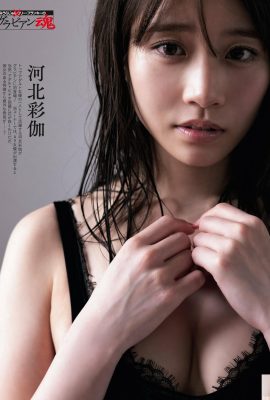 (Hebei Caijia) Los ojos de la diosa caliente son encantadores y sexys (10p)