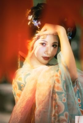 Sopa agridulce Hua Xiangrong (31P)