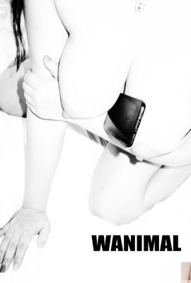 (Trabajo de Wang Dong) Wang Dong) Colección de fotos de WANIMAL Tumblr (105) (50P)